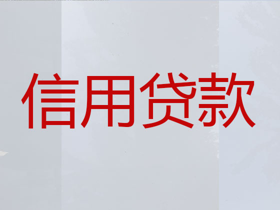 宁波信用贷款-本地贷款公司